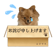 747120717