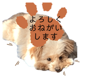747122962