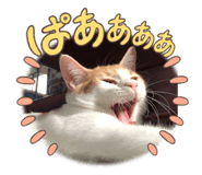 747122968