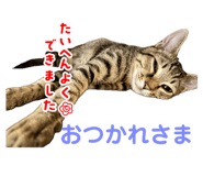 747133475