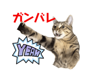 747133484