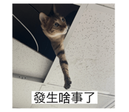 747136856