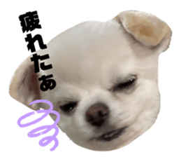 747154565