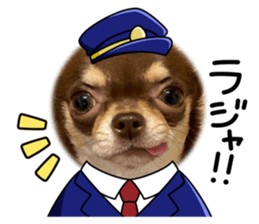 747154807