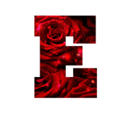747232645