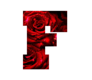 747232646