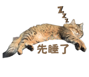 747244690