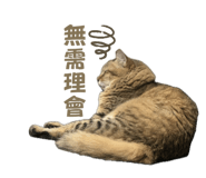 747244694