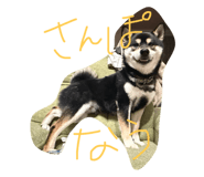 747245642