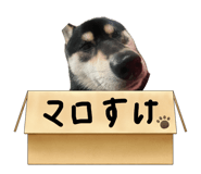 747245645