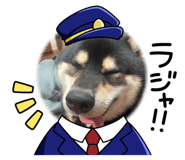 747245648