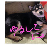 747245649