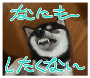 747245654