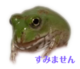 747255743