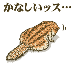 7477117