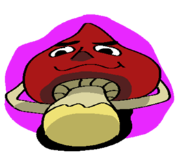 7484425