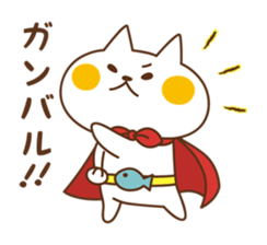 7487798