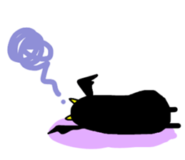 7491206