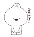 74936407