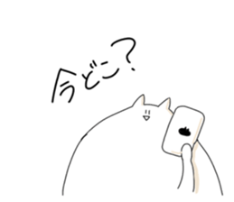 75029895