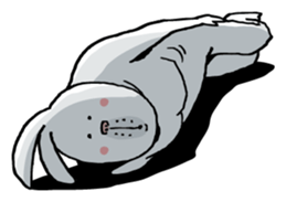 7505035