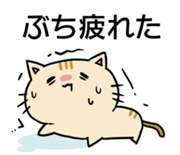 7512123