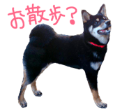 75145475
