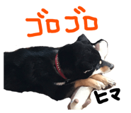 75145479