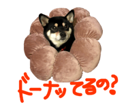 75145483