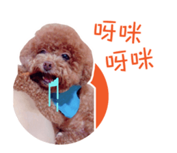 玄咪 Emily | Yabe-LINE貼圖代購 | 台灣No.1,最便宜高效率的代購網