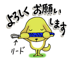 7523233