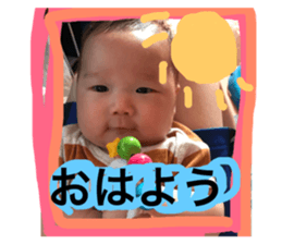 75247313