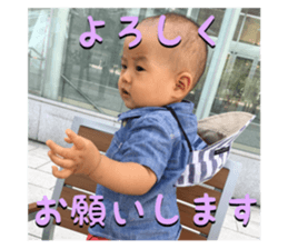 75247629