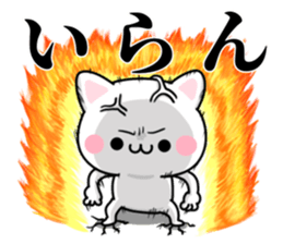 75254543