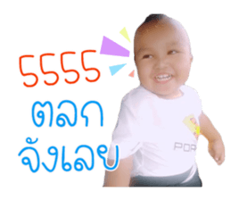 75321378