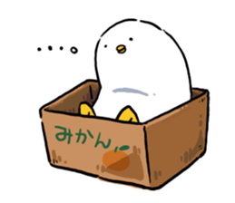 7534416