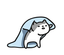 7534495