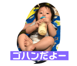 75353340