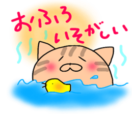 7538137