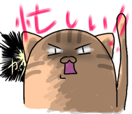 7538145