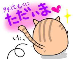 7538149