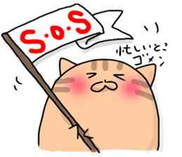 7538154