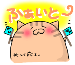 7538156