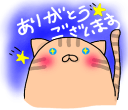 7538158