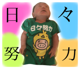75404446