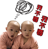 75425081