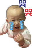 75425088