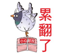 7548038