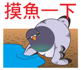 7548048