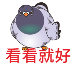7548053